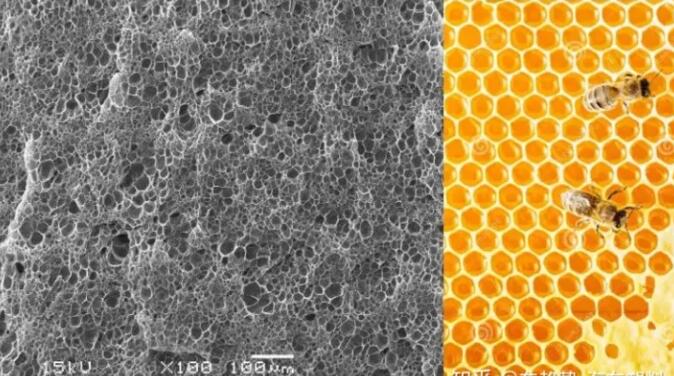 epp發泡聚丙烯的顯微結構，可以看到這是種連續閉孔結構，類似于蜂窩